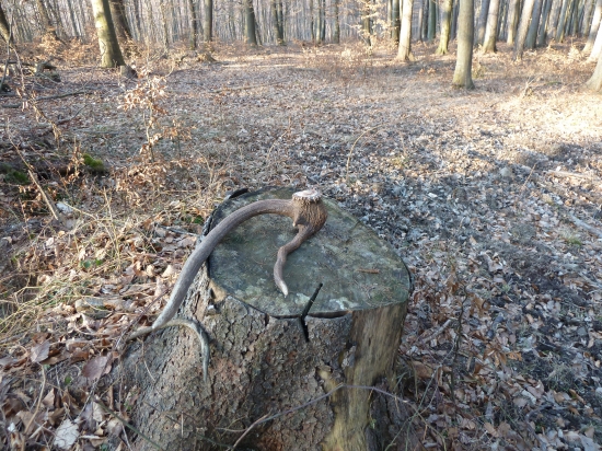 Takýto asi iba raz za život.