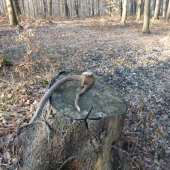 Takýto asi iba raz za život.