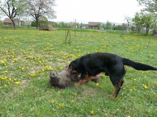 Pomali sa dostávame aspoň tam kde sme boli..:-)