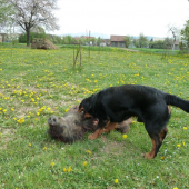 Pomali sa dostávame aspoň tam kde sme boli..:-)