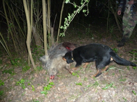 Dohľadávka ukončená....