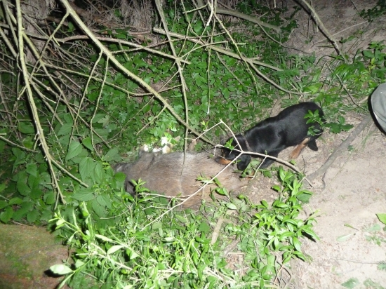 Večerná dohľadávka-prvý pohľad.