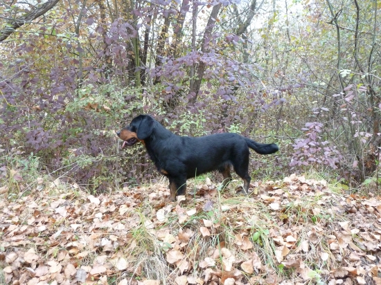 Konečne ako tak pózujem...:-)