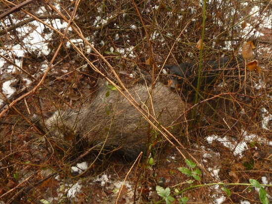 Milóóóš.Máááme hóóó !