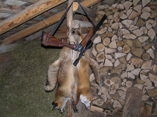 Ranná dvojhodinovka.