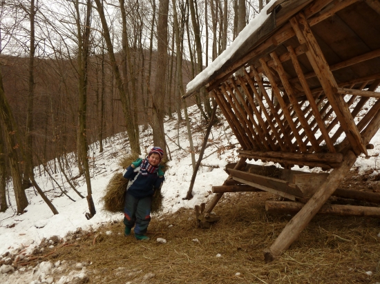 Zelená krv sa vraj dedí. (Ja dúfam...)