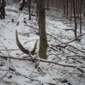 Takýto pohľad poteší každého.