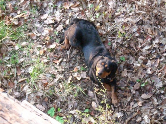 No poďme,už nič nepríde...