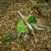 Pokrstená....(venované pepiesovi)