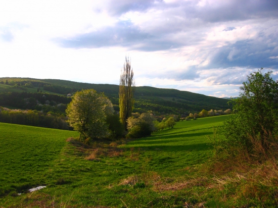 podvecer v Brezinach
