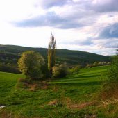 podvecer v Brezinach