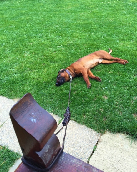 Odloženie neznášam!