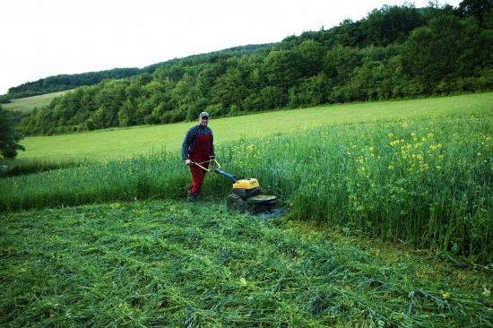 Kosíme miešanku pre srnciu zver