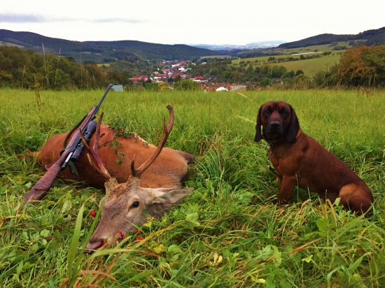 Keď pršalo, mrholilo....