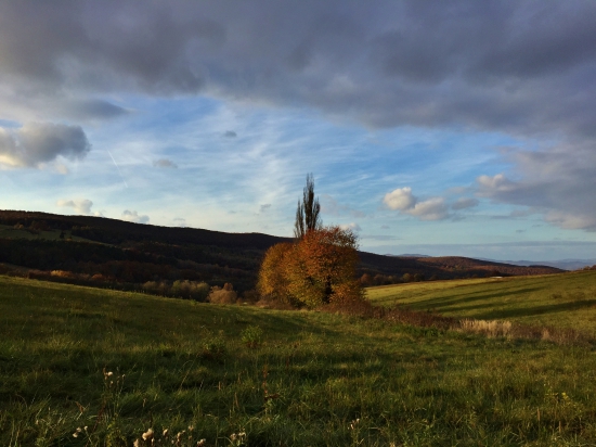 Podvečer v Brezinách