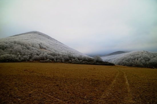 Ráno pod Hradiskom