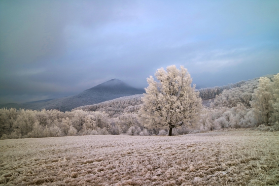 Vianočná