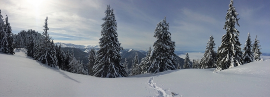 prima panorama