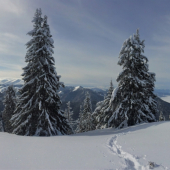prima panorama