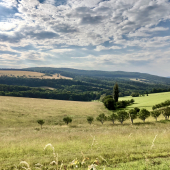 Podvečer v Brezinách