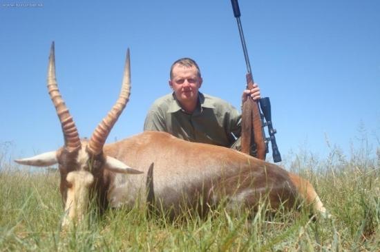 afrika 2010-blesbok