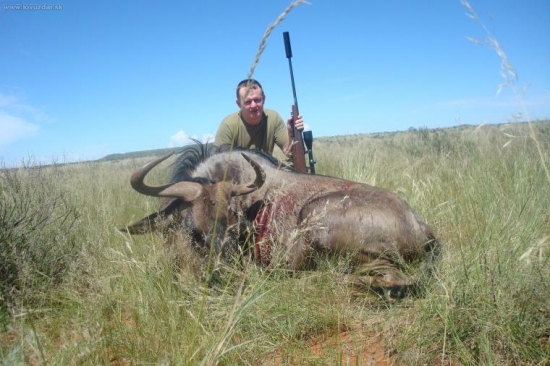 afrika 2010- Wildebeest Blue