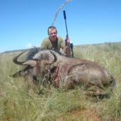 afrika 2010- Wildebeest Blue