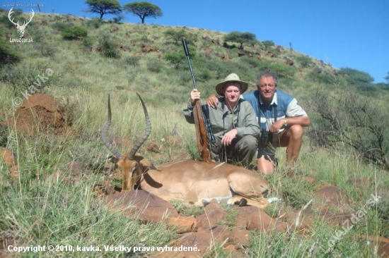 afrika 2010