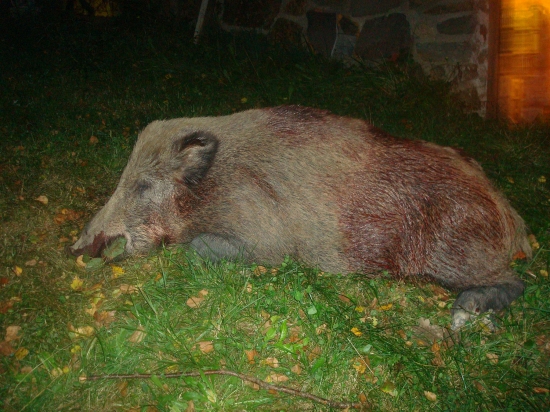 Lanštiak