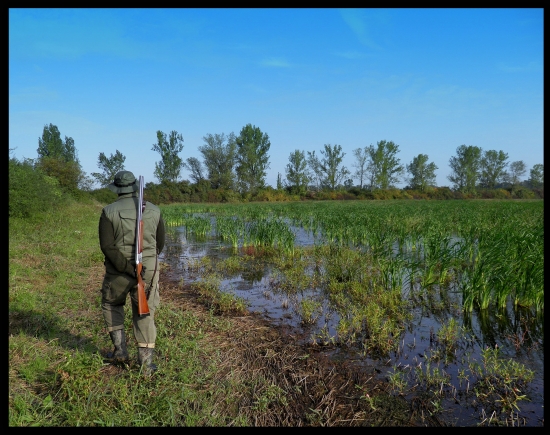 V jeden krásny slnečný deň