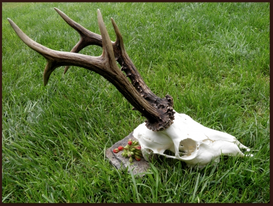 Moja prvá úprava...