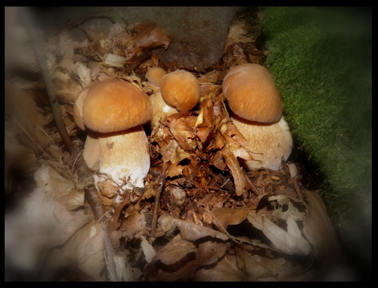 KONEČNE...som sa dočkala