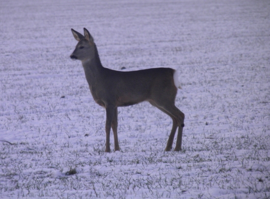 Tesne po západe slnka...