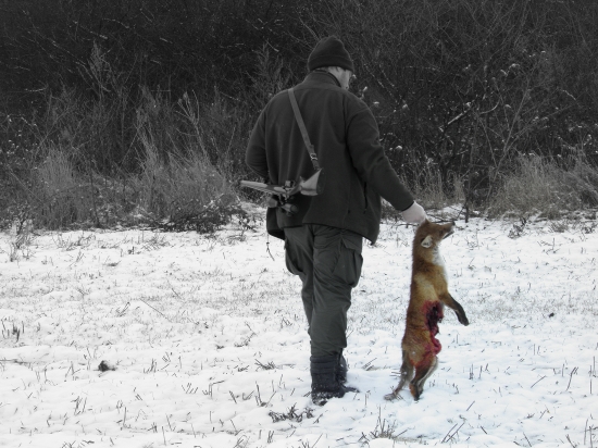 Úlovok s účinkom náboja ...