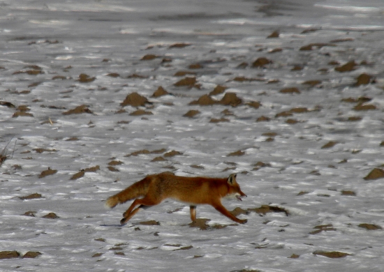 Ďalšia z trojky...