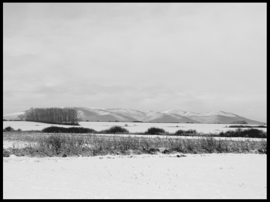 Obľúbená časť  revíru