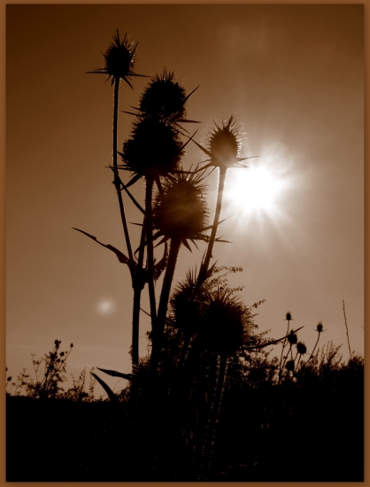 Obráť svoju tvár k slnku a všetky tiene padnú za Teba...