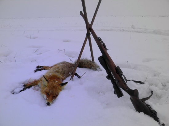 Zas o jednu menej....