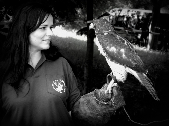 Výmena pohľadov...