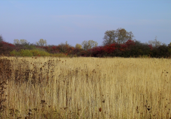 Kto nevidí krásy prírody, nič nevidí....