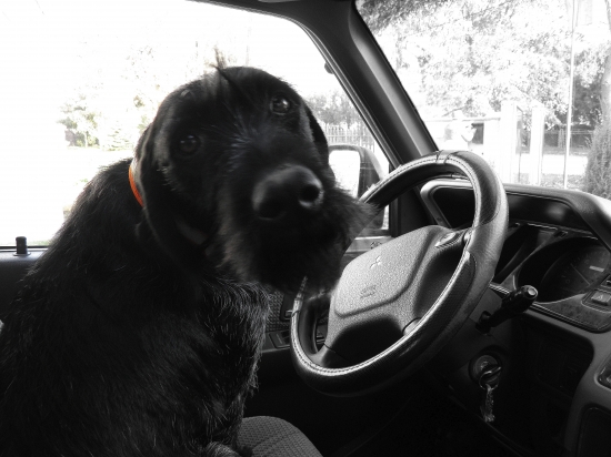 Pôjdeme už konečne???