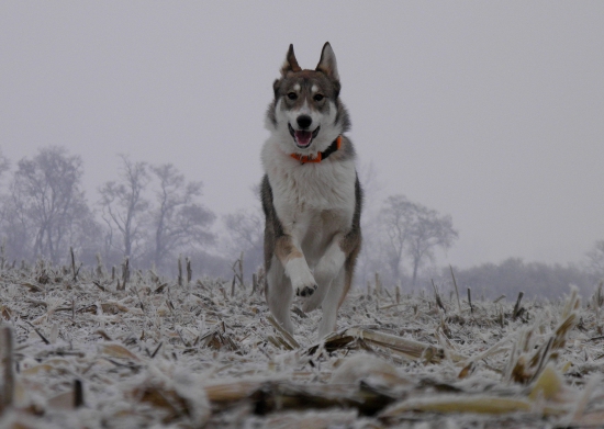 Pohľad, ktorý urobí každý deň krajším...
