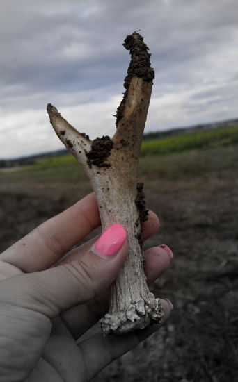 Len tak počas vychádzky