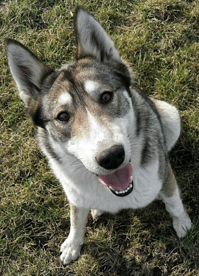 Takto sa teším  keď idem von.