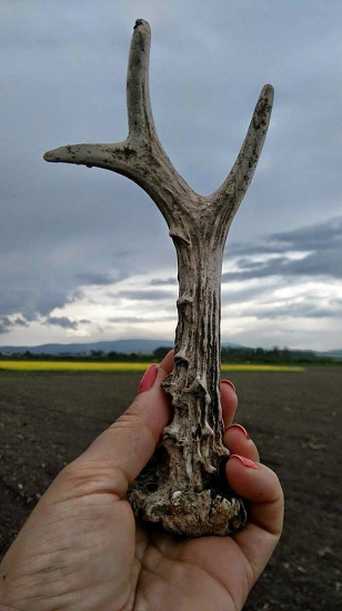 Dnešný . A náramne potešil. . .