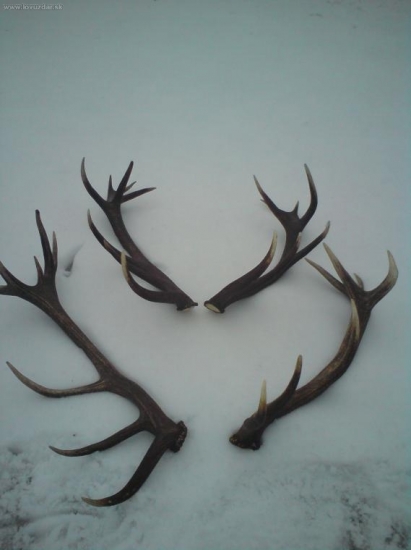 Dnešny ulovok ako bratia...