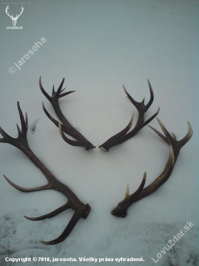 Dnešny ulovok ako bratia...