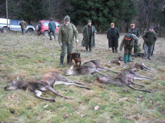Cita dnes redukoval stavy......