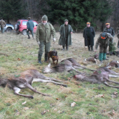 Cita dnes redukoval stavy......