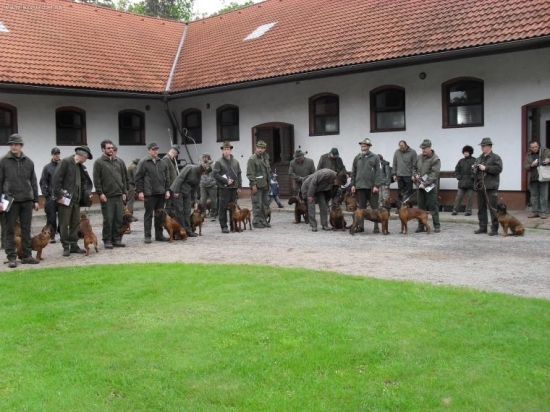 Klubová výstava barvářů